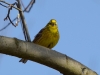 Filename=031_fotowilga~55.JPG
Filesize=221KB
Dimensions=700x525
Date added=Mar 31, 2019 031_fotowilga~55.JPG