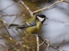Filename=031_fotowilga~58.JPG
Filesize=237KB
Dimensions=700x525
Date added=May 26, 2019 031_fotowilga~58.JPG