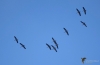 Filename=031_fotowilga~60.JPG
Filesize=172KB
Dimensions=700x455
Date added=Nov 04, 2019 031_fotowilga~60.JPG