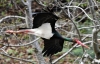 03299_fotowilga.JPG