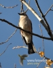 Filename=032_fotowilga~13.JPG
Filesize=77KB
Dimensions=377x480
Date added=Nov 03, 2015 032_fotowilga~13.JPG