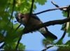Filename=032_fotowilga~24.JPG
Filesize=75KB
Dimensions=640x475
Date added=Jul 06, 2016 032_fotowilga~24.JPG
