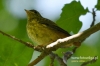 Filename=032_fotowilga~39.JPG
Filesize=91KB
Dimensions=640x427
Date added=Jun 09, 2017 032_fotowilga~39.JPG