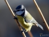Filename=032_fotowilga~49.JPG
Filesize=231KB
Dimensions=700x525
Date added=Feb 24, 2018 032_fotowilga~49.JPG