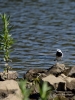 Filename=032_fotowilga~53.JPG
Filesize=268KB
Dimensions=525x700
Date added=Jun 11, 2018 032_fotowilga~53.JPG