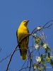 Filename=032_fotowilga~62.JPG
Filesize=246KB
Dimensions=525x700
Date added=May 23, 2019 032_fotowilga~62.JPG