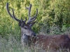 Filename=0336_fotowilga~30.JPG
Filesize=367KB
Dimensions=700x525
Date added=Jul 11, 2018 0336_fotowilga~30.JPG