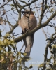 Filename=033_fotowilga~33.JPG
Filesize=97KB
Dimensions=384x480
Date added=Apr 05, 2016 033_fotowilga~33.JPG