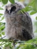Filename=033_fotowilga~39.JPG
Filesize=71KB
Dimensions=360x480
Date added=Aug 09, 2016 033_fotowilga~39.JPG