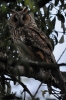Filename=033_fotowilga~48.JPG
Filesize=272KB
Dimensions=466x700
Date added=Jun 07, 2017 033_fotowilga~48.JPG