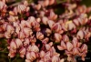 Filename=033_fotowilga~65.JPG
Filesize=255KB
Dimensions=700x479
Date added=Jan 04, 2019 033_fotowilga~65.JPG
