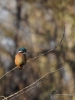 Filename=033_fotowilga~67.JPG
Filesize=243KB
Dimensions=525x700
Date added=Jan 24, 2019 033_fotowilga~67.JPG