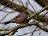 Filename=033_fotowilga~71.JPG
Filesize=286KB
Dimensions=700x525
Date added=May 09, 2019 033_fotowilga~71.JPG