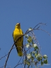 Filename=033_fotowilga~72.JPG
Filesize=259KB
Dimensions=525x700
Date added=May 25, 2019 033_fotowilga~72.JPG