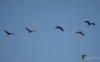 Filename=033_fotowilga~76.JPG
Filesize=125KB
Dimensions=700x436
Date added=Nov 29, 2019 033_fotowilga~76.JPG