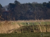 Filename=033_fotowilga~78.JPG
Filesize=304KB
Dimensions=700x525
Date added=Dec 15, 2019 033_fotowilga~78.JPG
