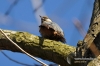 Filename=034_fotowilga~4.JPG
Filesize=112KB
Dimensions=720x480
Date added=Mar 28, 2013 034_fotowilga~4.JPG