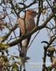 Filename=034_fotowilga~26.JPG
Filesize=97KB
Dimensions=384x480
Date added=Apr 06, 2016 034_fotowilga~26.JPG