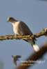 Filename=034_fotowilga~27.JPG
Filesize=61KB
Dimensions=328x480
Date added=Apr 18, 2016 034_fotowilga~27.JPG