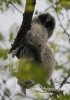 Filename=034_fotowilga~30.JPG
Filesize=76KB
Dimensions=339x480
Date added=Jul 15, 2016 034_fotowilga~30.JPG