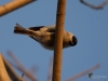 Filename=034_fotowilga~45.JPG
Filesize=226KB
Dimensions=700x525
Date added=Dec 21, 2017 034_fotowilga~45.JPG
