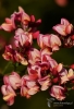 Filename=034_fotowilga~55.JPG
Filesize=218KB
Dimensions=478x700
Date added=Jan 04, 2019 034_fotowilga~55.JPG