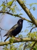 Filename=034_fotowilga~60.JPG
Filesize=305KB
Dimensions=525x700
Date added=Apr 02, 2019 034_fotowilga~60.JPG