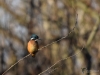 Filename=034_fotowilga~61.JPG
Filesize=246KB
Dimensions=700x525
Date added=May 09, 2019 034_fotowilga~61.JPG