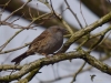 Filename=034_fotowilga~62.JPG
Filesize=280KB
Dimensions=700x525
Date added=May 20, 2019 034_fotowilga~62.JPG