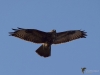 0354_fotowilga~30.JPG