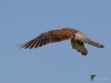 Filename=0357_fotowilga~30.JPG
Filesize=203KB
Dimensions=700x525
Date added=Aug 04, 2018 0357_fotowilga~30.JPG
