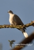 Filename=035_fotowilga~14.JPG
Filesize=61KB
Dimensions=328x480
Date added=Jan 07, 2016 035_fotowilga~14.JPG