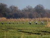 Filename=035_fotowilga~33.JPG
Filesize=295KB
Dimensions=700x525
Date added=Apr 16, 2019 035_fotowilga~33.JPG