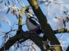 Filename=035_fotowilga~38.JPG
Filesize=101KB
Dimensions=640x480
Date added=Dec 03, 2017 035_fotowilga~38.JPG