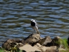 Filename=035_fotowilga~43.JPG
Filesize=296KB
Dimensions=700x525
Date added=Jun 11, 2018 035_fotowilga~43.JPG