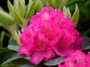 Filename=035_fotowilga~50.JPG
Filesize=269KB
Dimensions=700x525
Date added=Mar 25, 2019 035_fotowilga~50.JPG