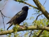 Filename=035_fotowilga~51.JPG
Filesize=305KB
Dimensions=700x525
Date added=Apr 01, 2019 035_fotowilga~51.JPG
