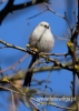 Filename=036_fotowilga~27.JPG
Filesize=57KB
Dimensions=343x480
Date added=May 25, 2016 036_fotowilga~27.JPG