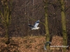 Filename=036_fotowilga~32.JPG
Filesize=131KB
Dimensions=640x480
Date added=Jan 06, 2017 036_fotowilga~32.JPG
