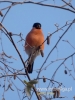 Filename=036_fotowilga~34.JPG
Filesize=60KB
Dimensions=360x480
Date added=Feb 02, 2017 036_fotowilga~34.JPG