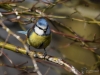Filename=036_fotowilga~51.JPG
Filesize=247KB
Dimensions=700x525
Date added=Jan 06, 2019 036_fotowilga~51.JPG
