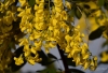Filename=036_fotowilga~54.JPG
Filesize=259KB
Dimensions=700x479
Date added=Feb 03, 2019 036_fotowilga~54.JPG