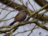 Filename=036_fotowilga~57.JPG
Filesize=284KB
Dimensions=700x525
Date added=May 16, 2019 036_fotowilga~57.JPG