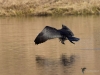 Filename=0376_fotowilga.JPG
Filesize=265KB
Dimensions=700x525
Date added=May 26, 2019 0376_fotowilga.JPG