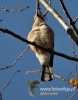 Filename=037_fotowilga~25.JPG
Filesize=76KB
Dimensions=377x480
Date added=Jan 07, 2016 037_fotowilga~25.JPG