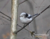 Filename=037_fotowilga~27.JPG
Filesize=87KB
Dimensions=611x480
Date added=Mar 06, 2016 037_fotowilga~27.JPG