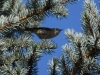 Filename=037_fotowilga~51.JPG
Filesize=374KB
Dimensions=700x531
Date added=Nov 18, 2017 037_fotowilga~51.JPG
