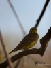Filename=037_fotowilga~64.JPG
Filesize=187KB
Dimensions=525x700
Date added=Nov 15, 2018 037_fotowilga~64.JPG