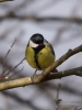 Filename=037_fotowilga~68.JPG
Filesize=201KB
Dimensions=525x700
Date added=Jan 06, 2019 037_fotowilga~68.JPG