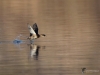 Filename=037_fotowilga~72.JPG
Filesize=249KB
Dimensions=700x525
Date added=Feb 09, 2019 037_fotowilga~72.JPG